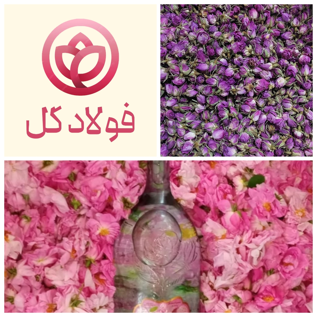 خرید گلاب به قیمت شرکت